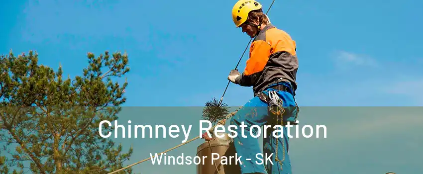  Chimney Restoration Windsor Park - SK