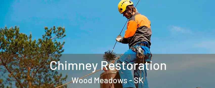  Chimney Restoration Wood Meadows - SK