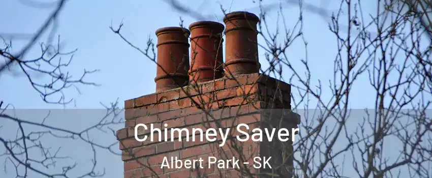  Chimney Saver Albert Park - SK
