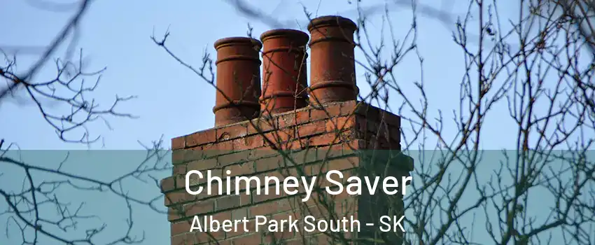  Chimney Saver Albert Park South - SK