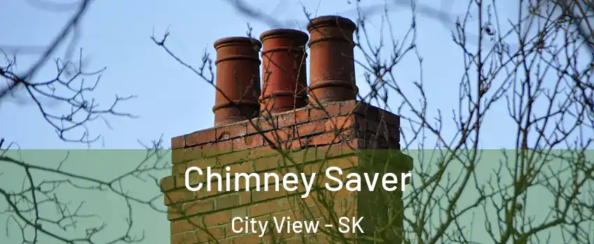  Chimney Saver City View - SK