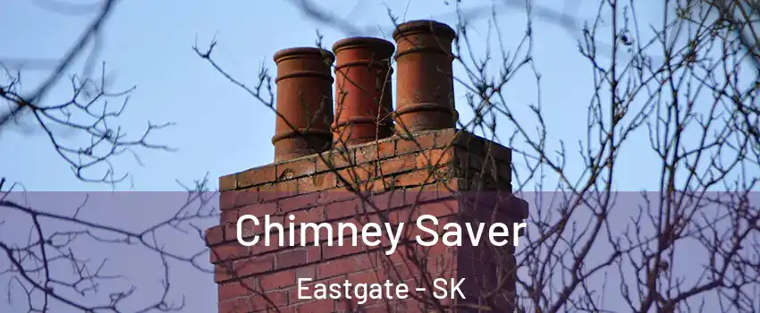  Chimney Saver Eastgate - SK