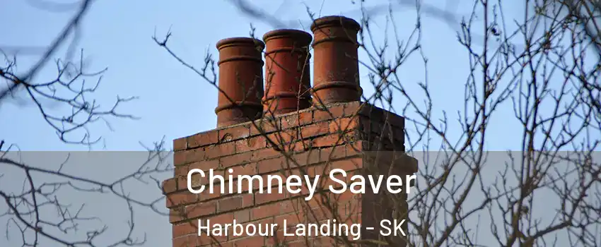  Chimney Saver Harbour Landing - SK