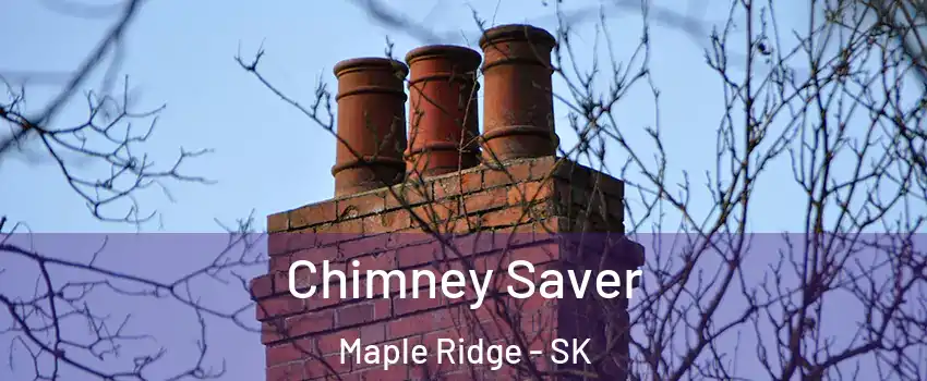  Chimney Saver Maple Ridge - SK