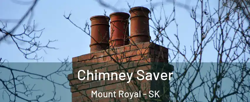  Chimney Saver Mount Royal - SK
