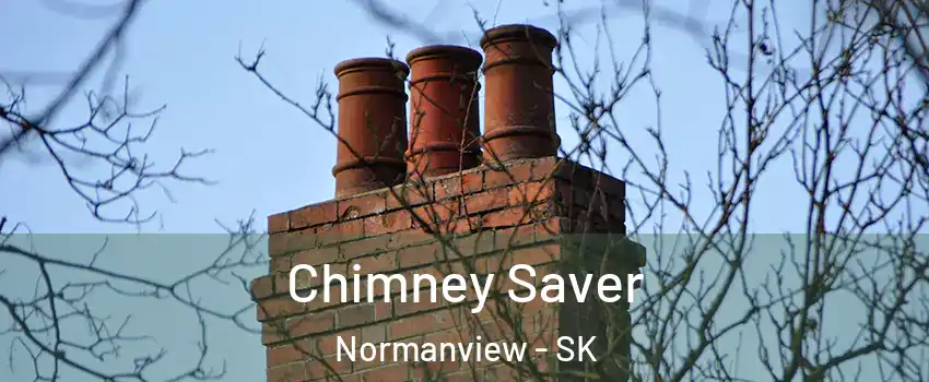  Chimney Saver Normanview - SK