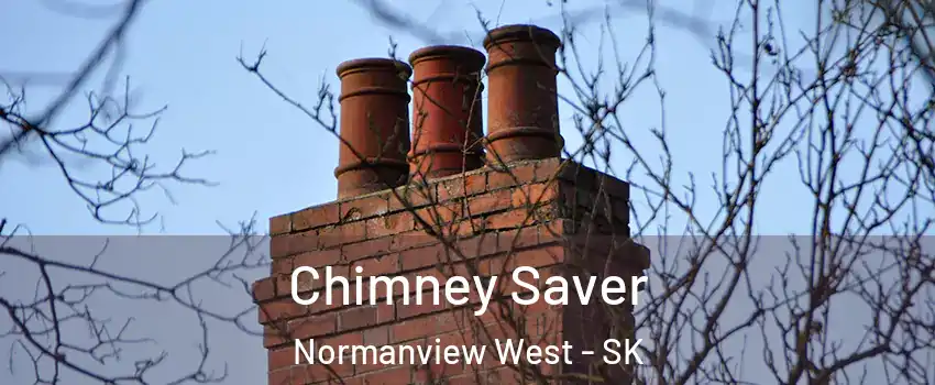  Chimney Saver Normanview West - SK