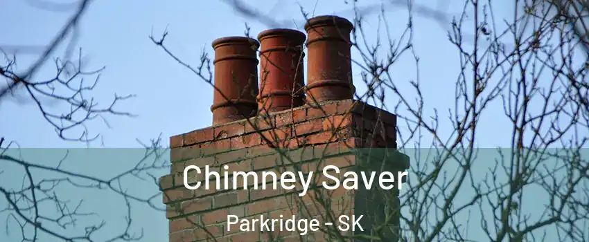  Chimney Saver Parkridge - SK