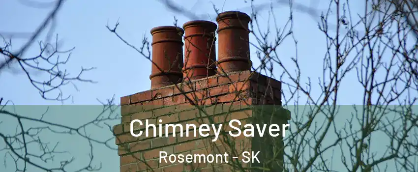  Chimney Saver Rosemont - SK