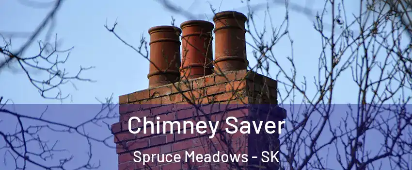  Chimney Saver Spruce Meadows - SK