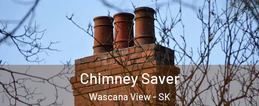  Chimney Saver Wascana View - SK