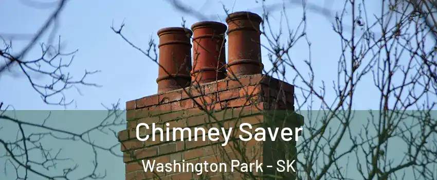  Chimney Saver Washington Park - SK