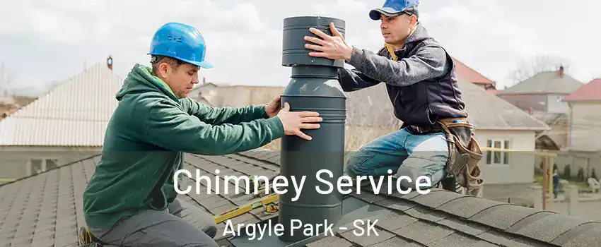  Chimney Service Argyle Park - SK