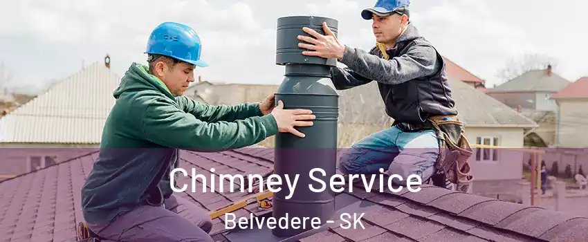  Chimney Service Belvedere - SK