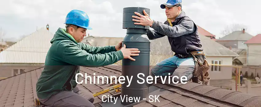 Chimney Service City View - SK