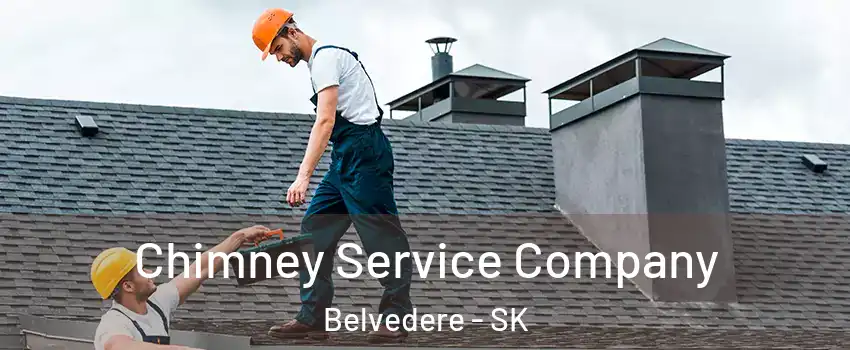  Chimney Service Company Belvedere - SK