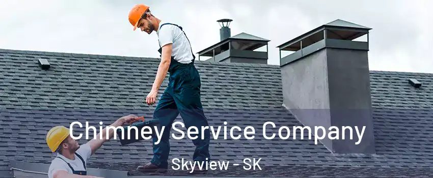  Chimney Service Company Skyview - SK