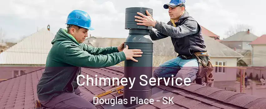  Chimney Service Douglas Place - SK