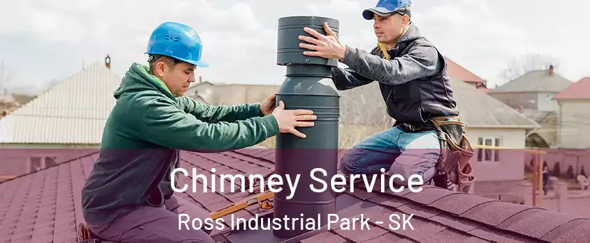  Chimney Service Ross Industrial Park - SK