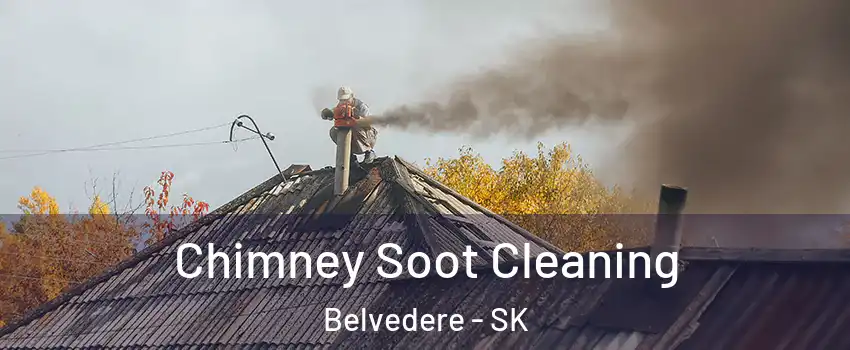  Chimney Soot Cleaning Belvedere - SK
