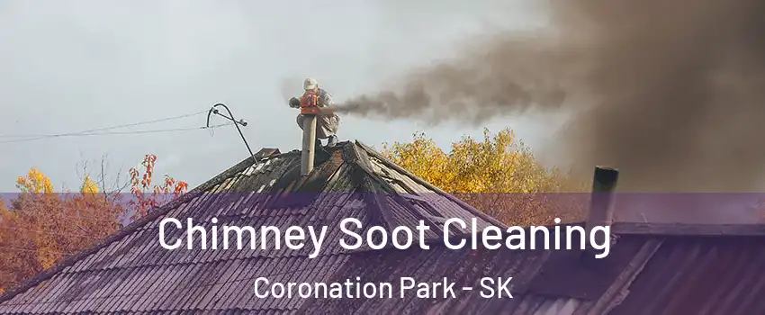  Chimney Soot Cleaning Coronation Park - SK