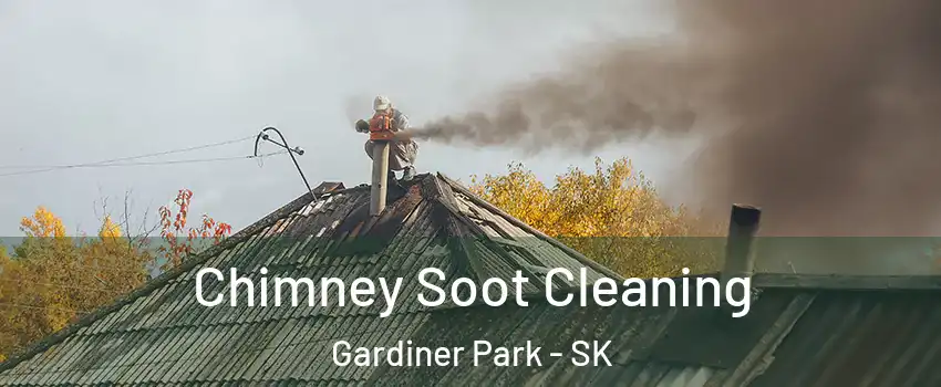  Chimney Soot Cleaning Gardiner Park - SK