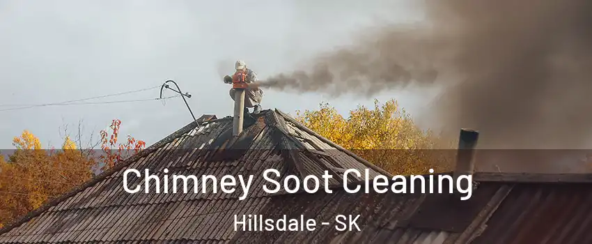  Chimney Soot Cleaning Hillsdale - SK