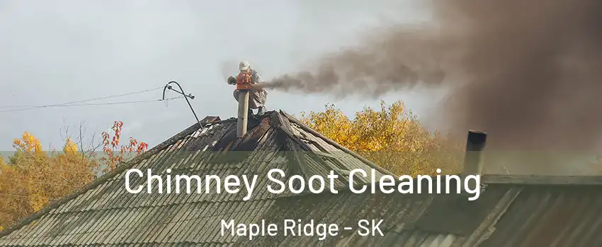  Chimney Soot Cleaning Maple Ridge - SK