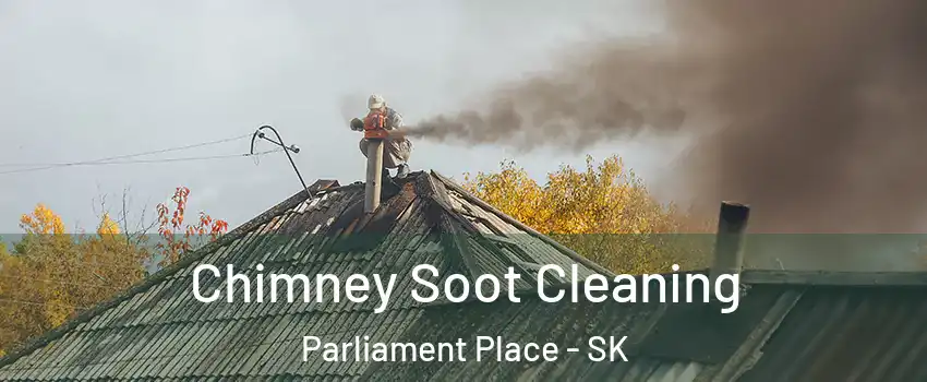  Chimney Soot Cleaning Parliament Place - SK