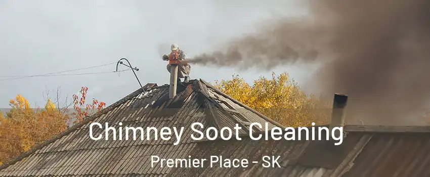  Chimney Soot Cleaning Premier Place - SK