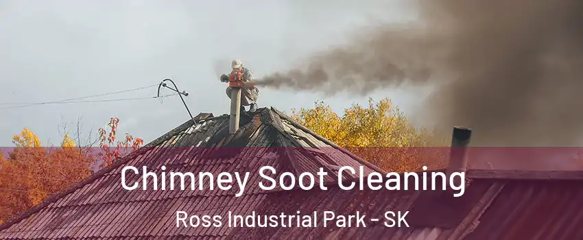  Chimney Soot Cleaning Ross Industrial Park - SK