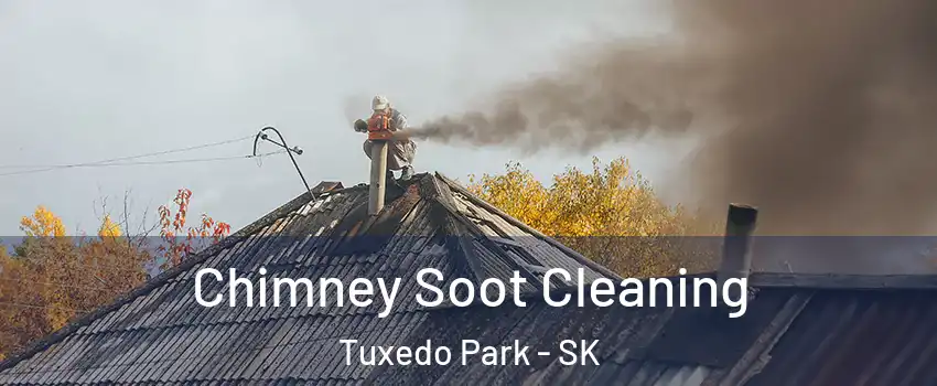  Chimney Soot Cleaning Tuxedo Park - SK