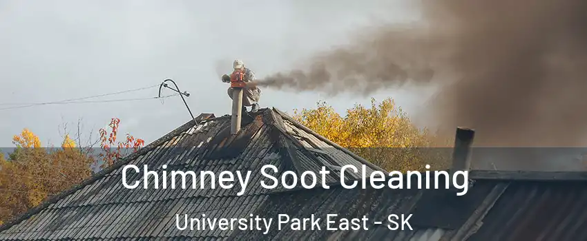  Chimney Soot Cleaning University Park East - SK