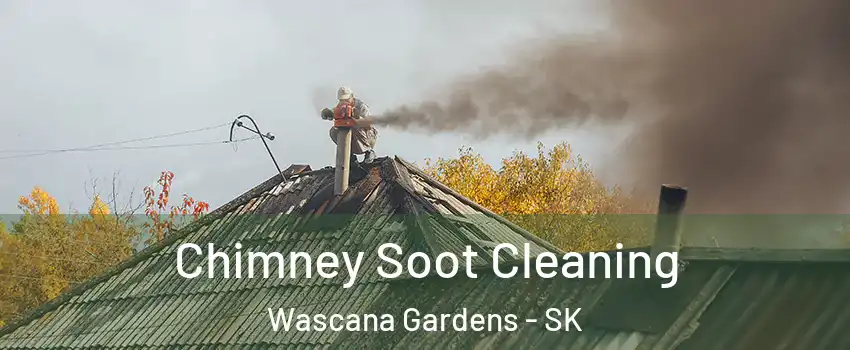  Chimney Soot Cleaning Wascana Gardens - SK