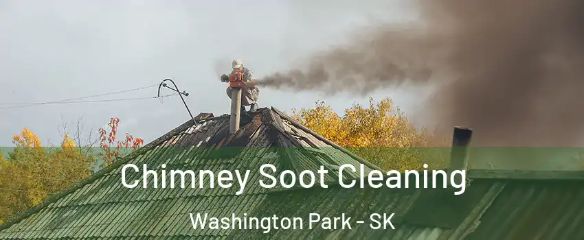  Chimney Soot Cleaning Washington Park - SK