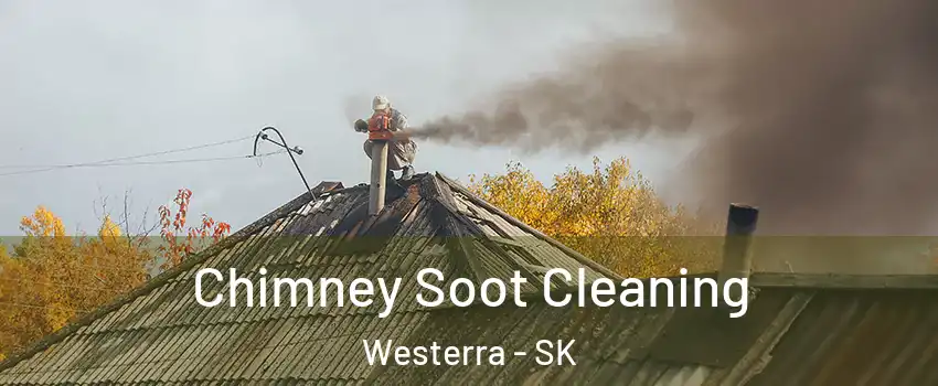  Chimney Soot Cleaning Westerra - SK