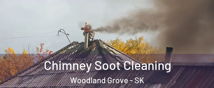  Chimney Soot Cleaning Woodland Grove - SK