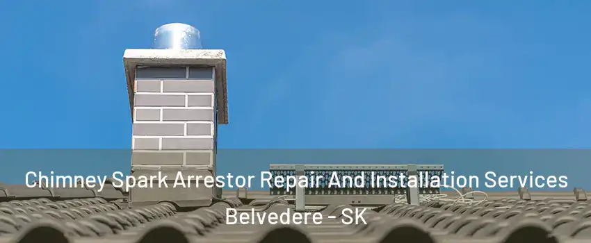  Chimney Spark Arrestor Repair And Installation Services Belvedere - SK