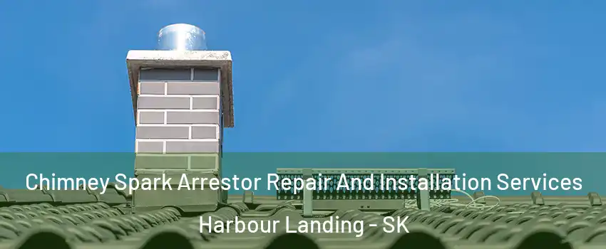  Chimney Spark Arrestor Repair And Installation Services Harbour Landing - SK