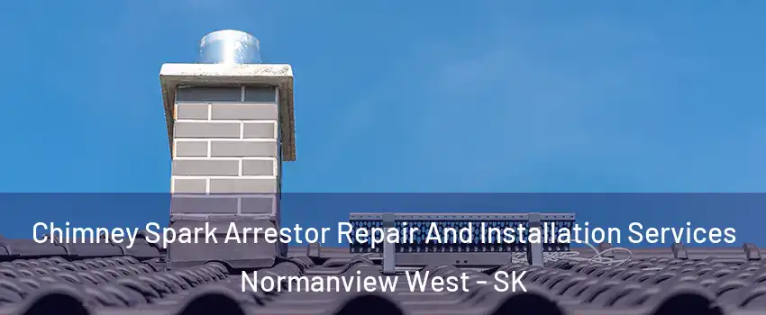  Chimney Spark Arrestor Repair And Installation Services Normanview West - SK