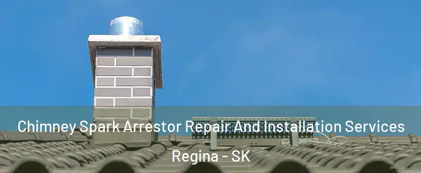  Chimney Spark Arrestor Repair And Installation Services Regina - SK