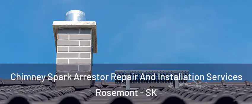  Chimney Spark Arrestor Repair And Installation Services Rosemont - SK