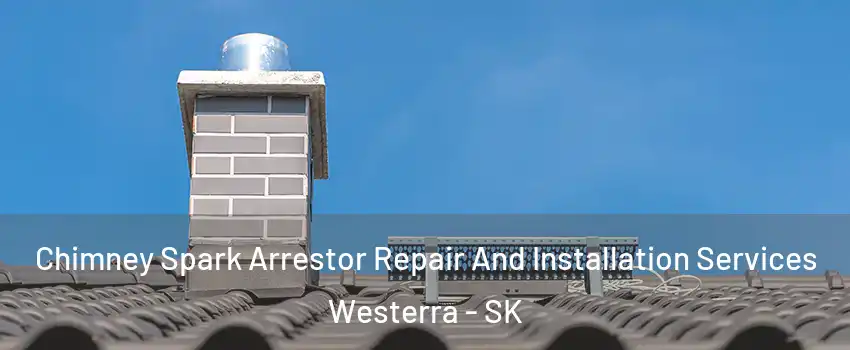  Chimney Spark Arrestor Repair And Installation Services Westerra - SK