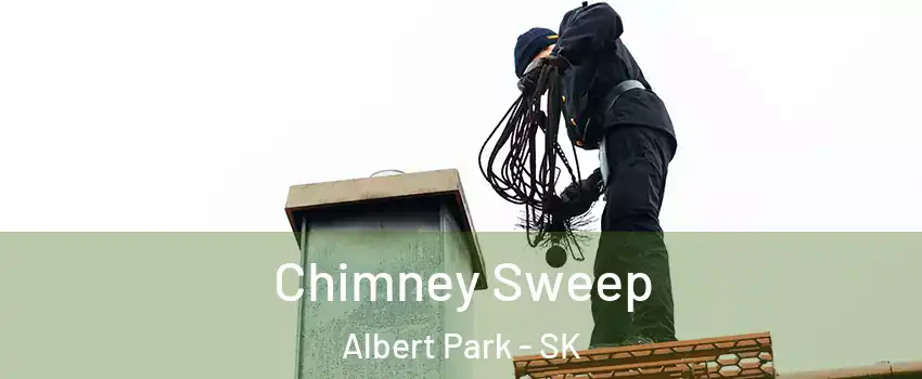  Chimney Sweep Albert Park - SK