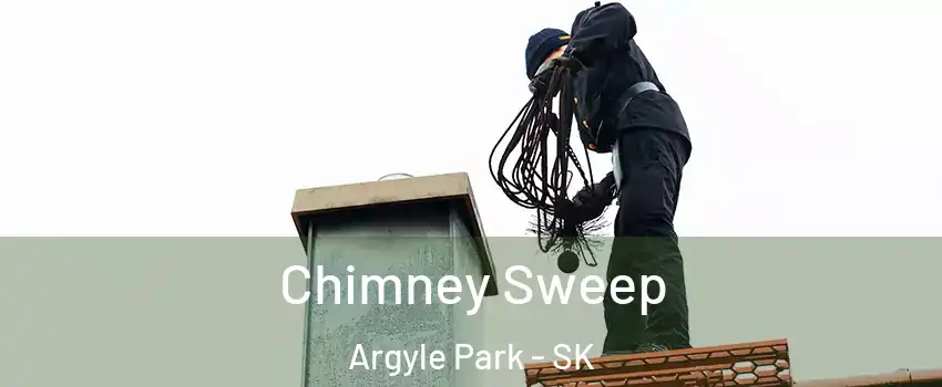  Chimney Sweep Argyle Park - SK