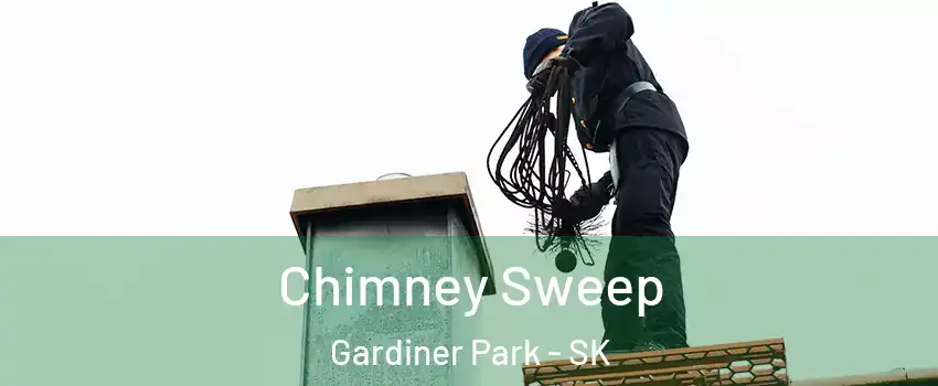  Chimney Sweep Gardiner Park - SK