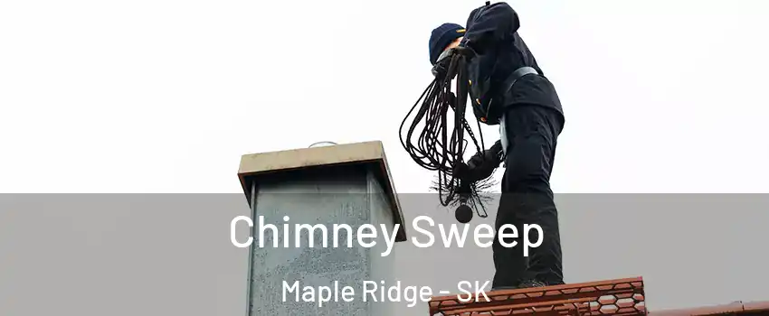  Chimney Sweep Maple Ridge - SK