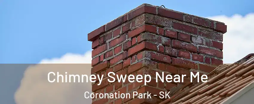 Chimney Sweep Near Me Coronation Park - SK