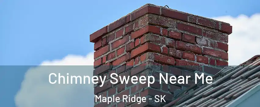  Chimney Sweep Near Me Maple Ridge - SK
