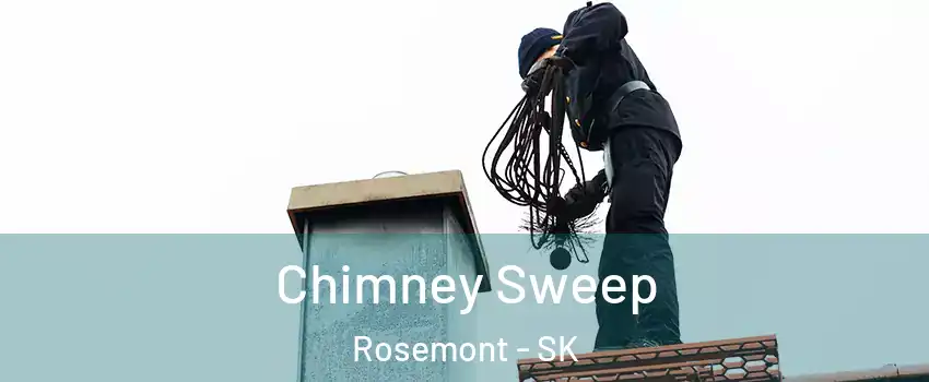  Chimney Sweep Rosemont - SK